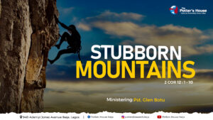Stubborn Mountains